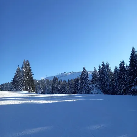 Mk Апартаменты Копаоник