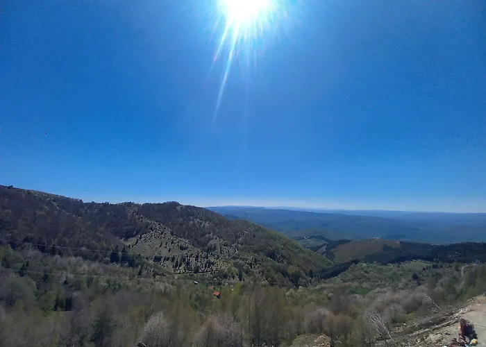 Апартаменты Mk