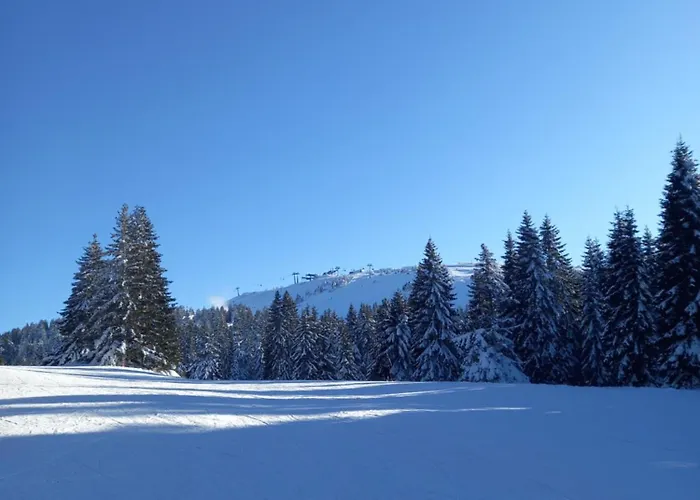 Mk Апартаменты Копаоник